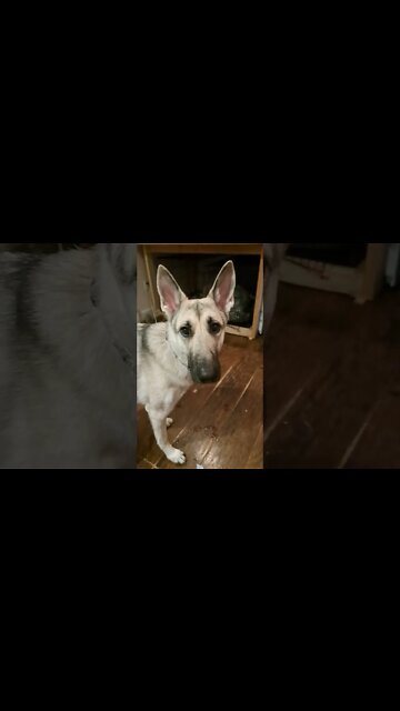 Messing with the Doober