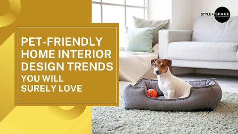 Pet-Friendly Home Interior Design Trends You Will Surely Love