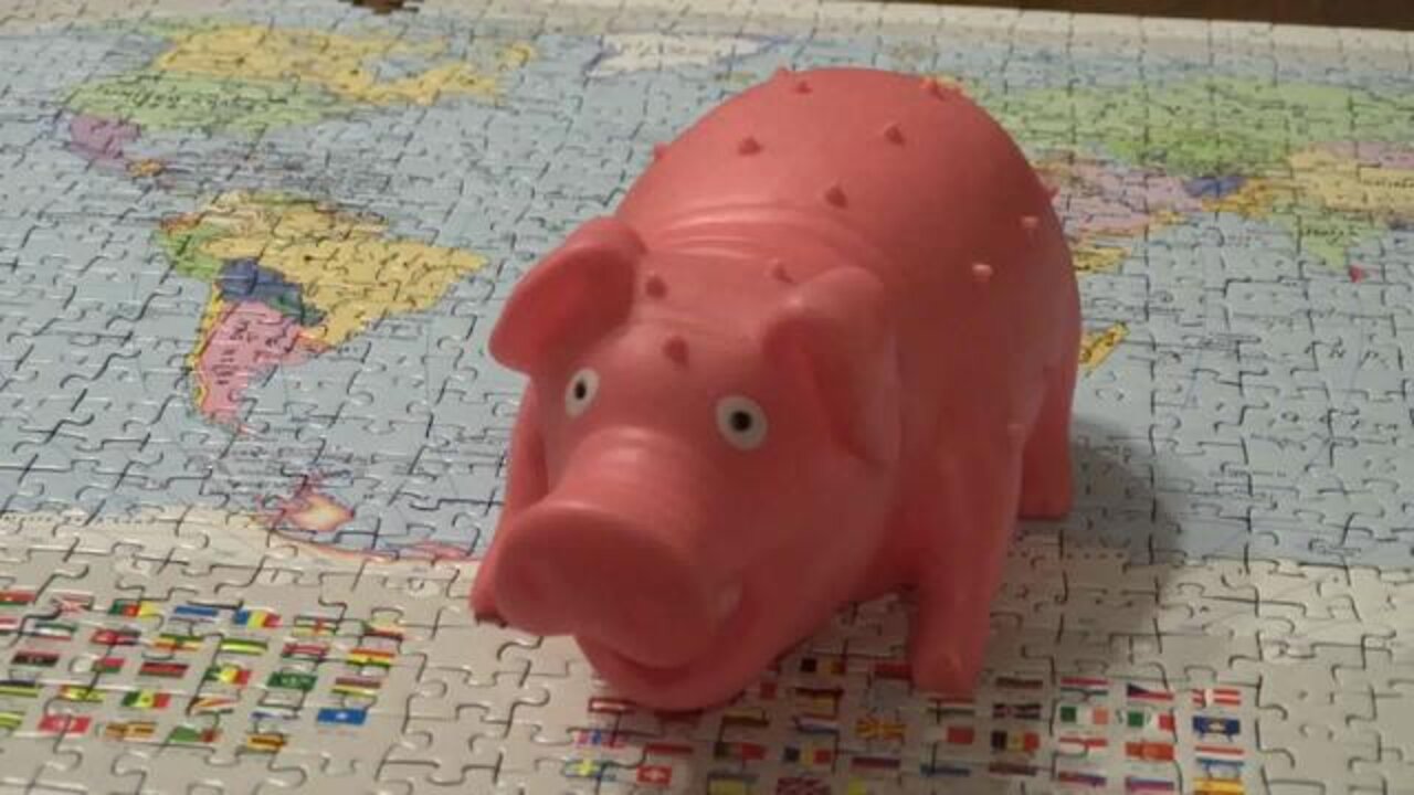 I Squeezed The Pig