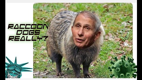 RACCOON DOGS, REALLY ?