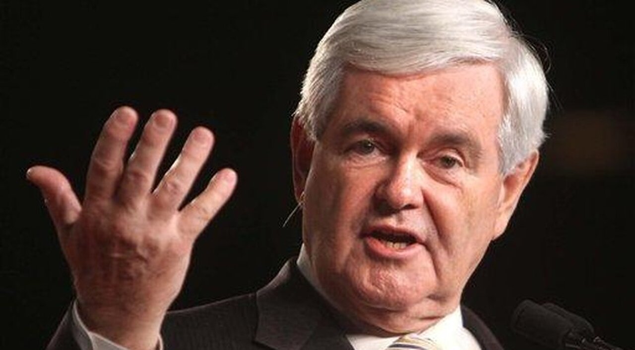 Newt Gingrich Blasts 'Never Kevin Caucus,' Warns of Chaos