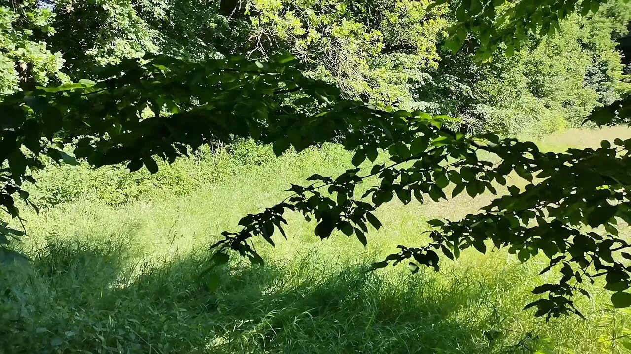 oduśmiecham się :):) Anna Budzik