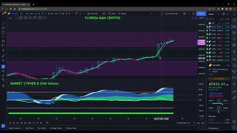 CRYPTO Pump and dump or is it Moonboy time?