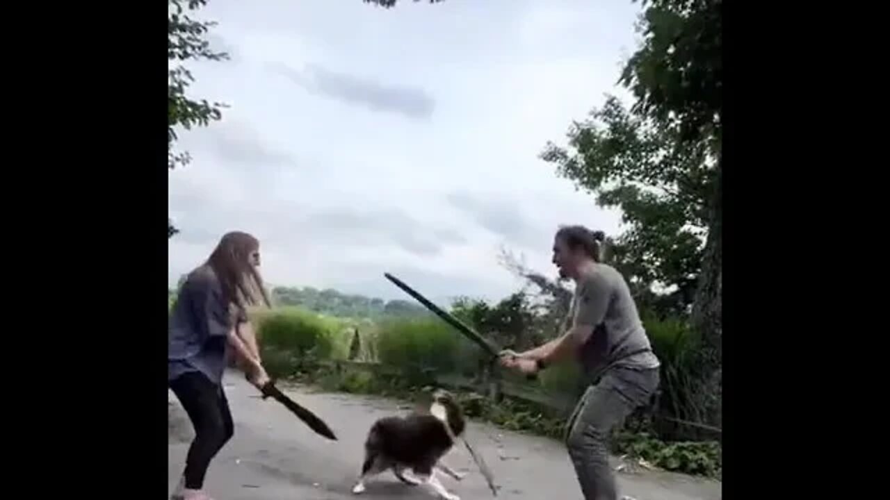 The battle of the ages! Sir Bork || #shorts