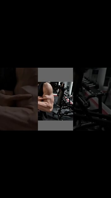 BUILD BRACHIALIS - CROSS BODY HAMMER CURL #shorts #youtubeshorts