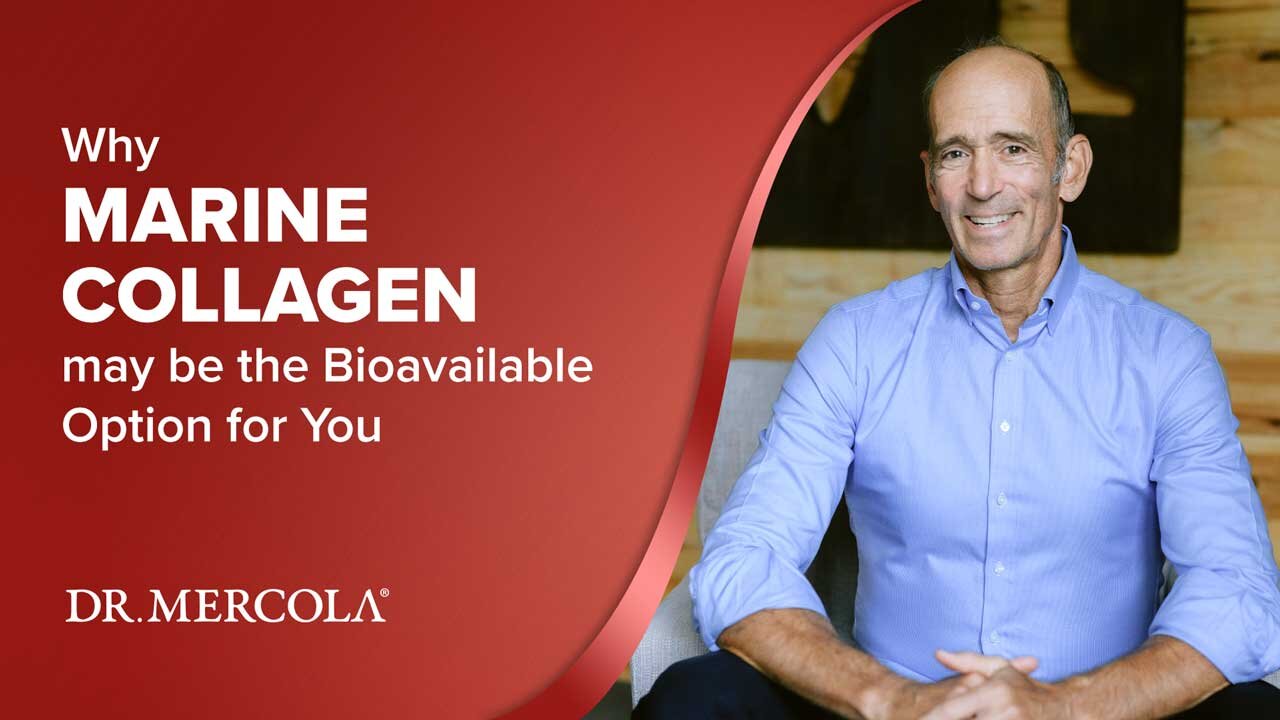 Why MARINE COLLAGEN may be the Bioavailable Option for You