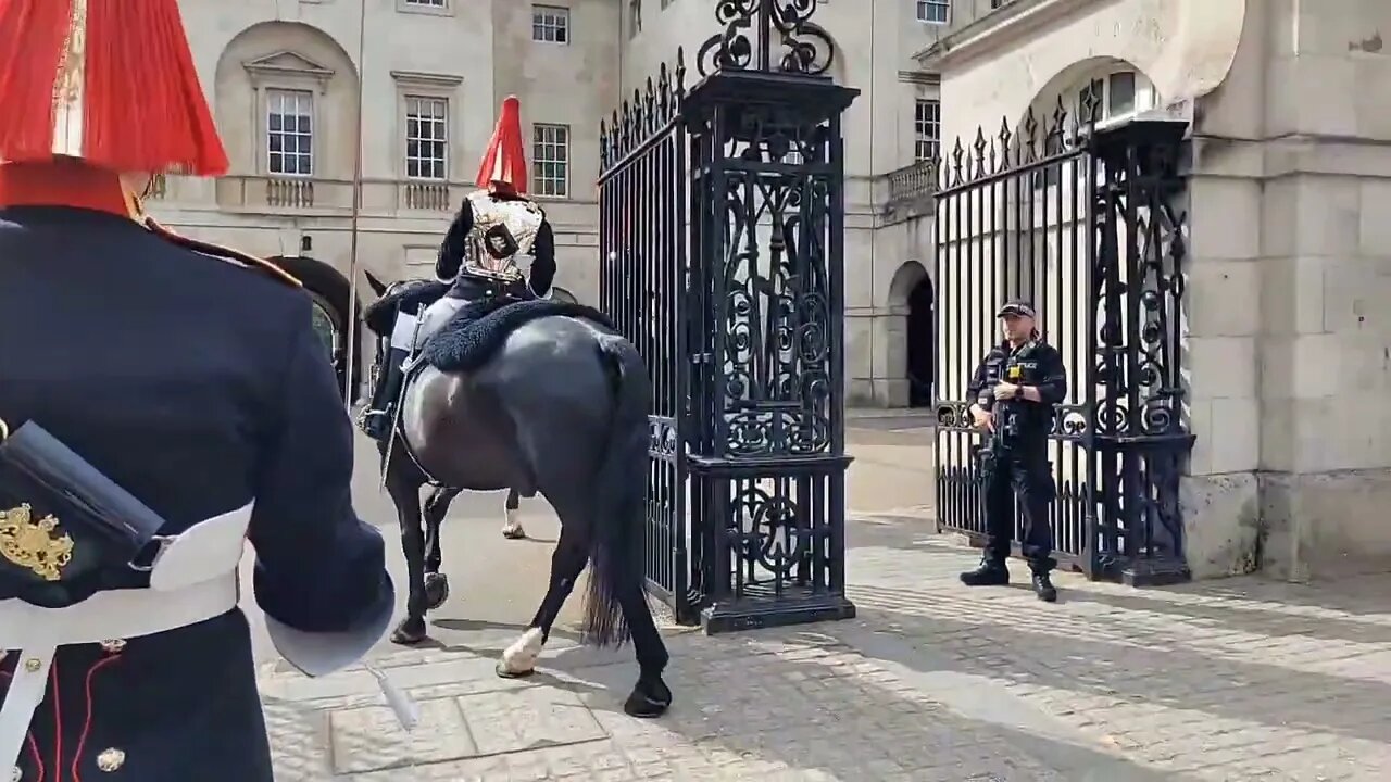 Changing of the Guards Horse slip #horseguardsparade