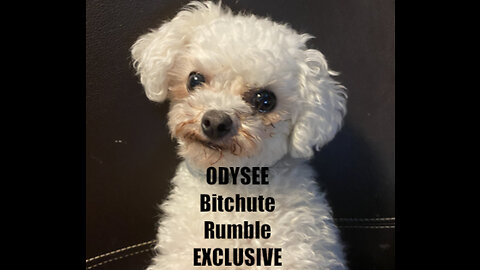 Rumble/Odysee/Bitchute Exclusive Hot Take: August 28th 2023 News Blast!