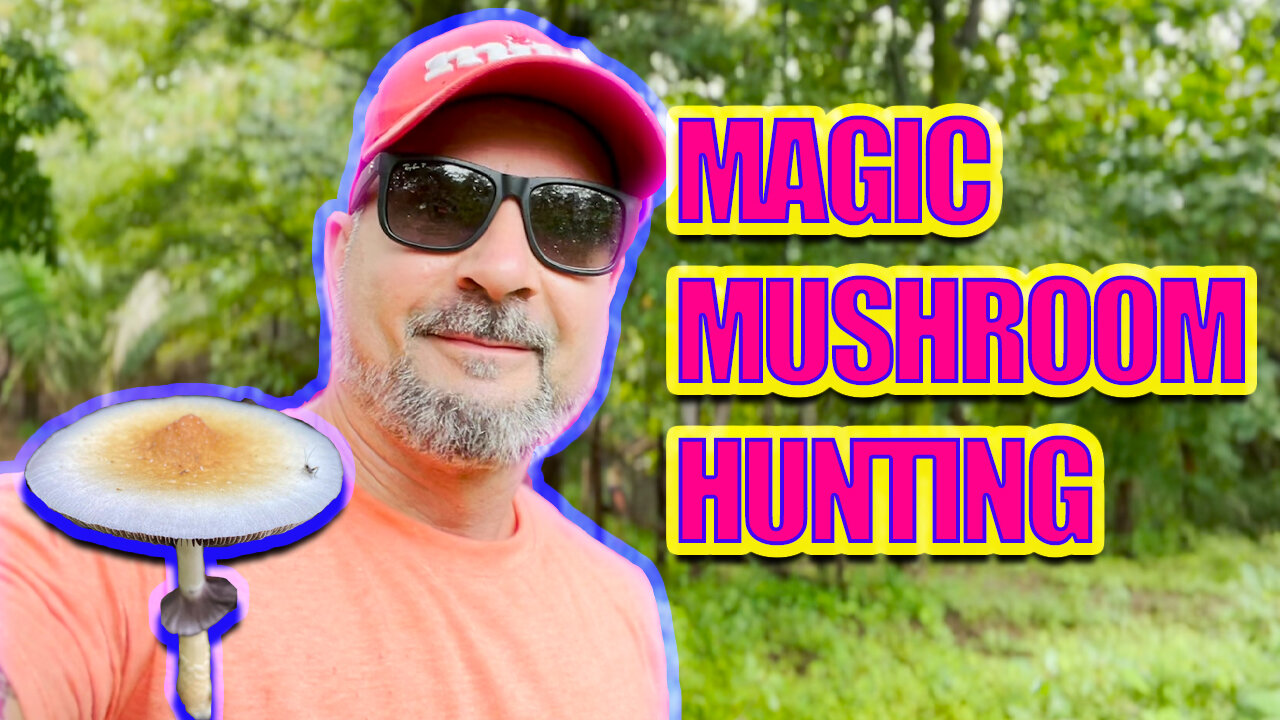 FINDING MAGIC MUSHROOMS AT THE COSTA RICAN FARM