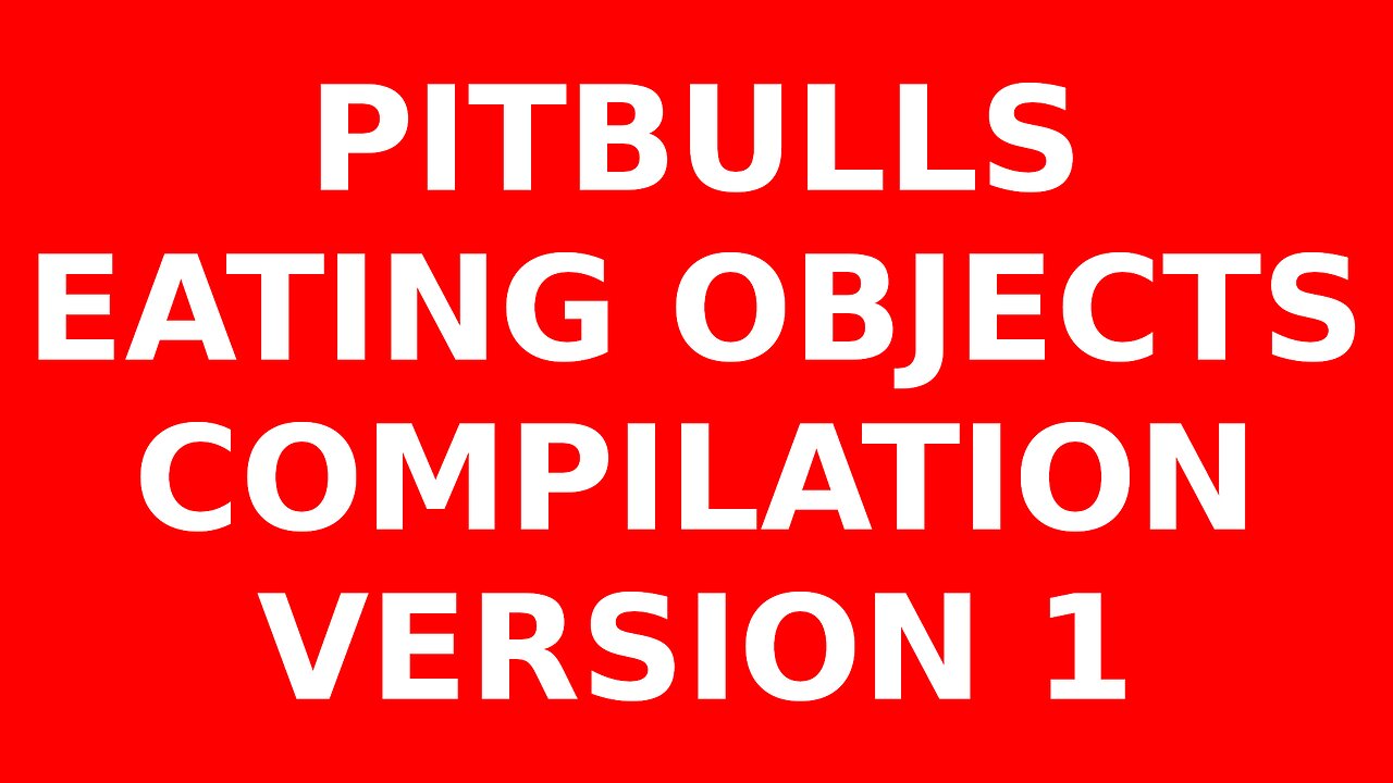 Pitbulls Eating Objects Compilation Version 1