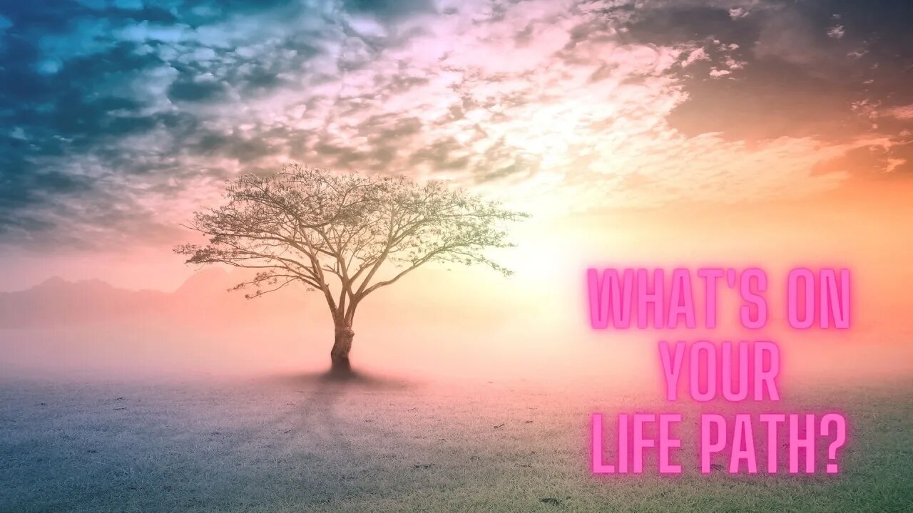 What's on your life path? ~ Timeless Tarot Reading