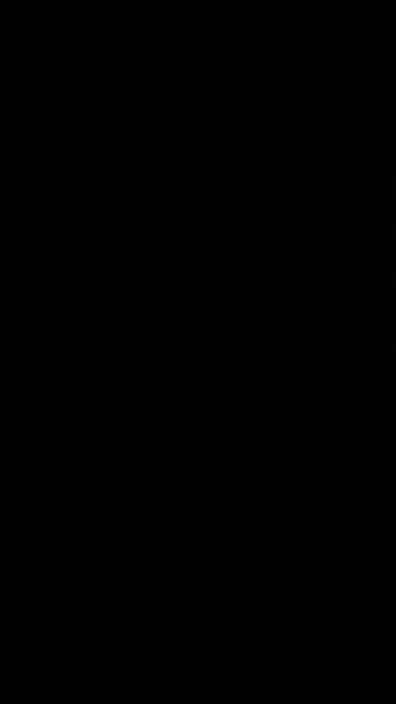 Constitutional amendment