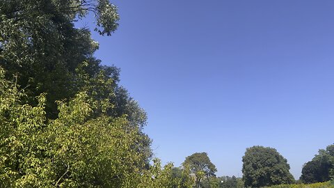 Just noticed. Not a cloud in the sky. No chemtrails either