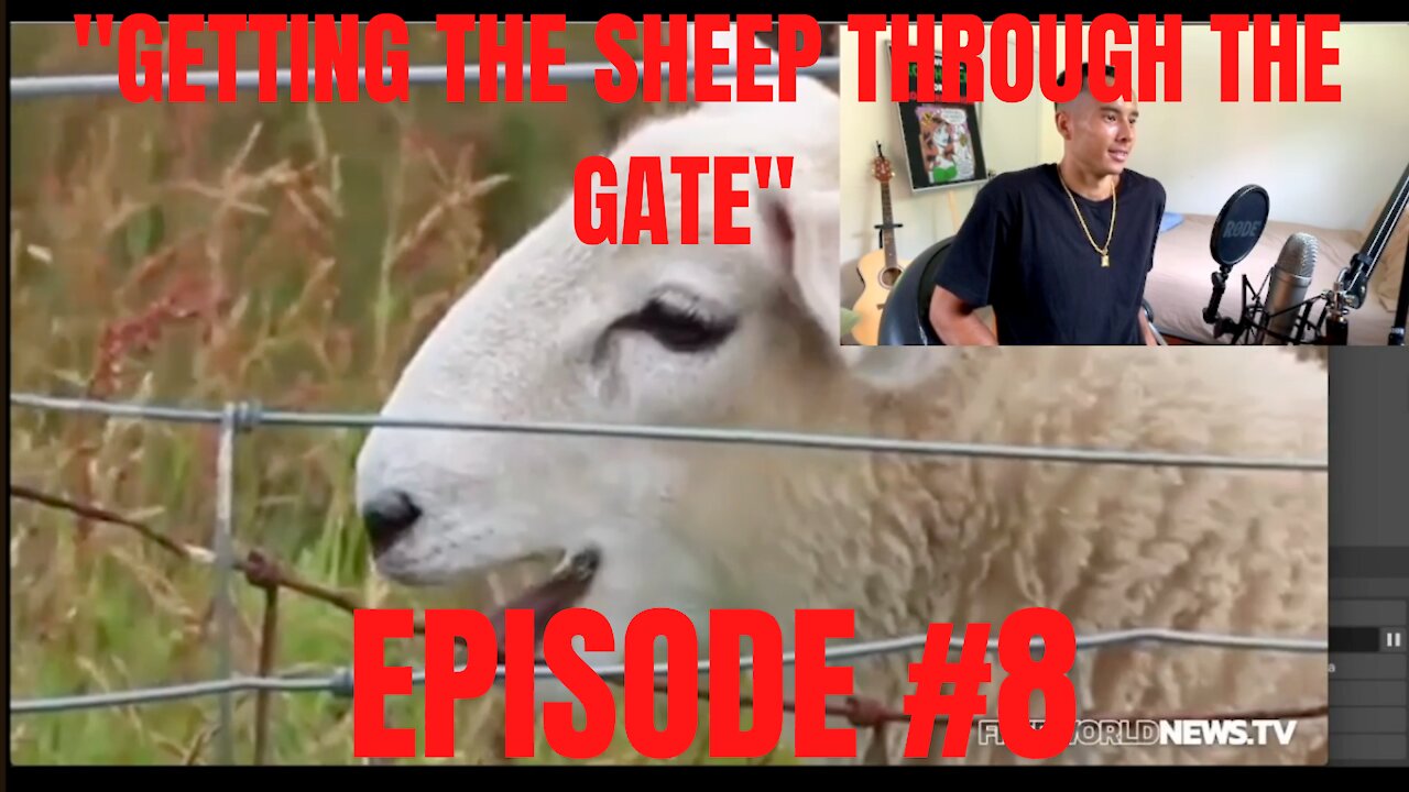 "Getting the sheep through the gate" | The 7pm Daily Dose w/ Benny McKay #8