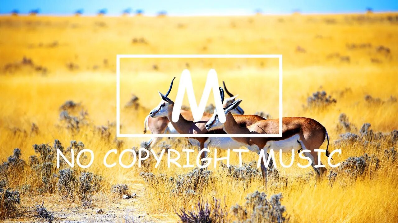 MELURAN - Skyline（Mm No Copyright Music）