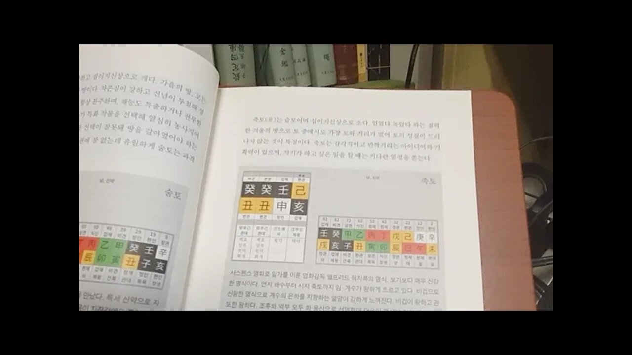 명리, 심화편, 강헌, 천간, 금, 경신, 오행, 비견, 경금, 위엄, 폭력강제, 독선, 타협, 스트레스,