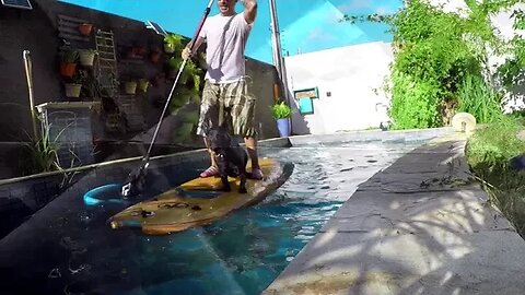 PRIMEIRO TREINO COMPLETO DE ' SUP ' NA PISCINA. NOTA 10. AGORA É CAIR PRO MAR .....