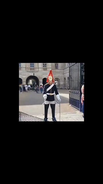The king's guard stands guard #horseguardsparade