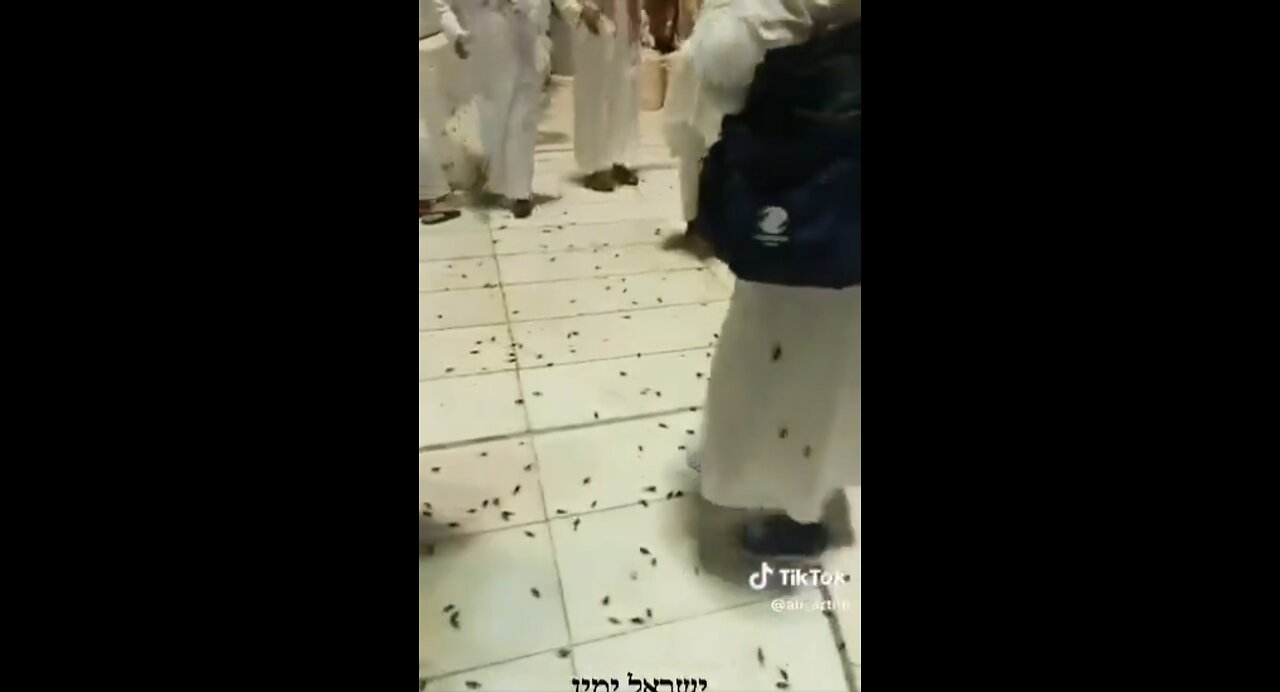 Heavy rain drenched them & hordes of locusts rose from the ground interrupted the prayer