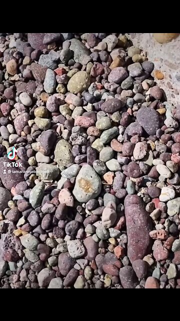 Can you see it? 👀