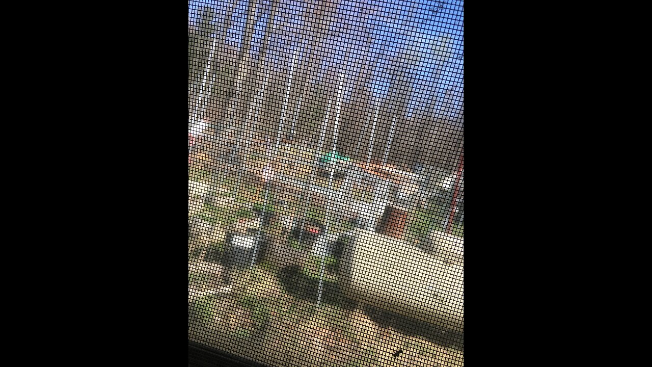 Derek Hunter Show and David fredosa and Clarence Thomas and George Soros