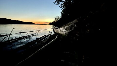 Zennessee 🌅