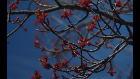 Sun, sun, sun — finally a warm day in WNY