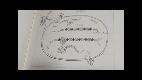 크리스퍼가 온다, 제니퍼 다우드나, 유전자편집, 과학자, 블레이크, 게놈, 바이러스, 세균,표본,캐스유전자, 황우석, 오펜하이머, 재앙, 핵무기, 생식세포, 김진수교수, 생명과학