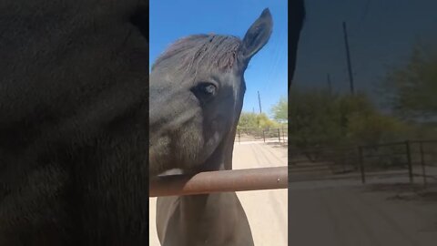 If you don't like this video, there might be something wrong with you.