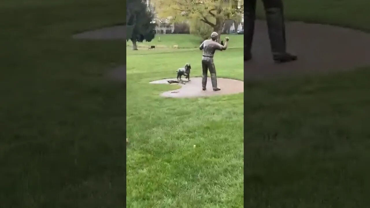 “Cmon fs throw the ball!” 😂🐶🐾⚾🤣