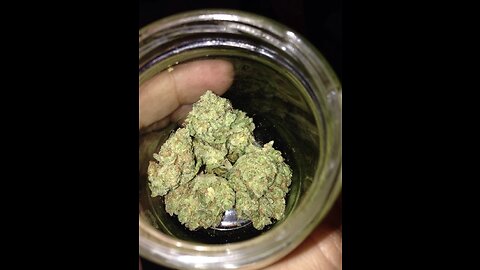 New Strain Alert | Kamikaze | Weed Review