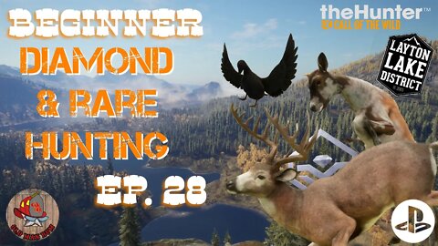 Beginner Diamond & Rare Hunting Ep 28 theHunter Call of the Wild