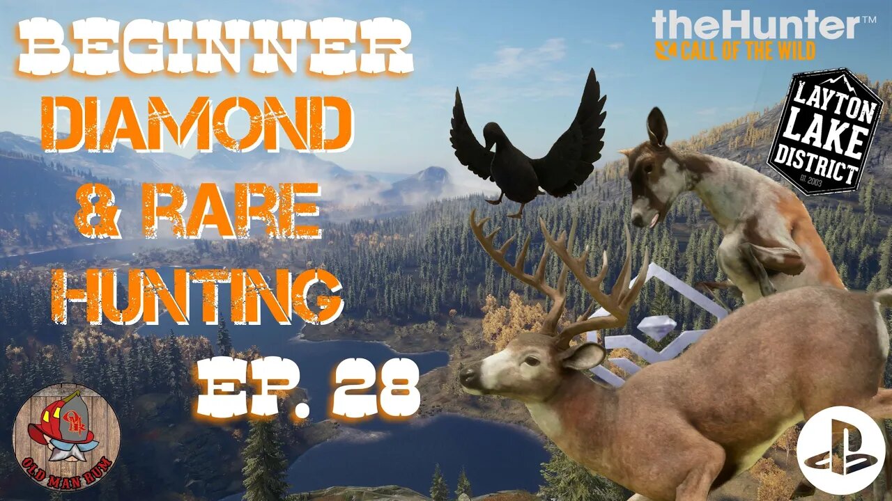 Beginner Diamond & Rare Hunting Ep 28 theHunter Call of the Wild