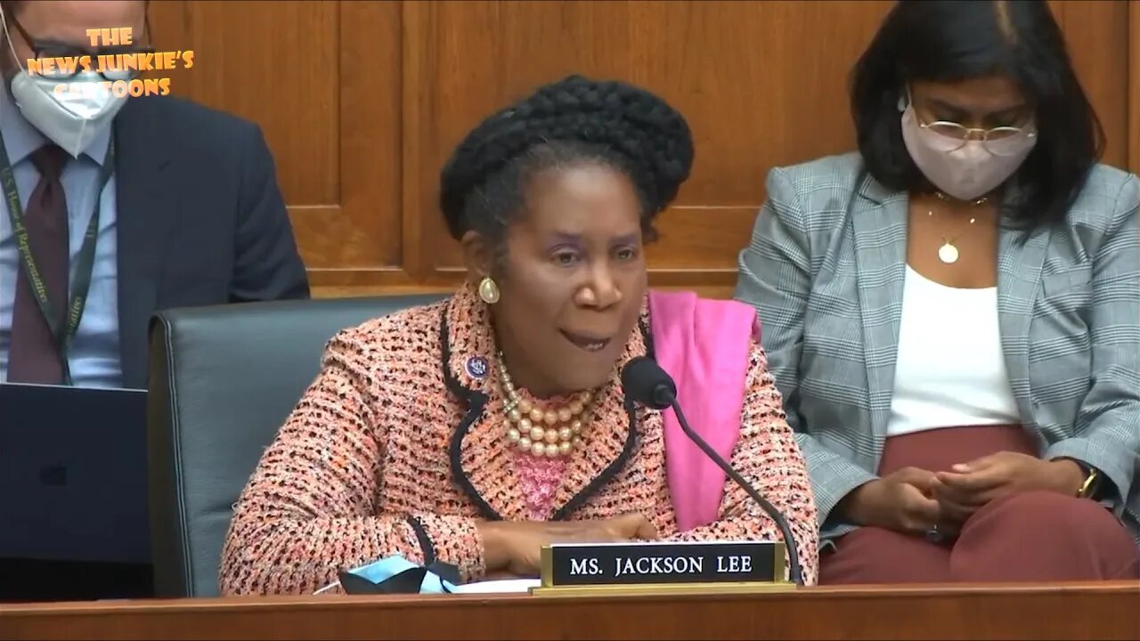 Democrat Jackson Lee: "The border is both sovereign and secure” under Biden.