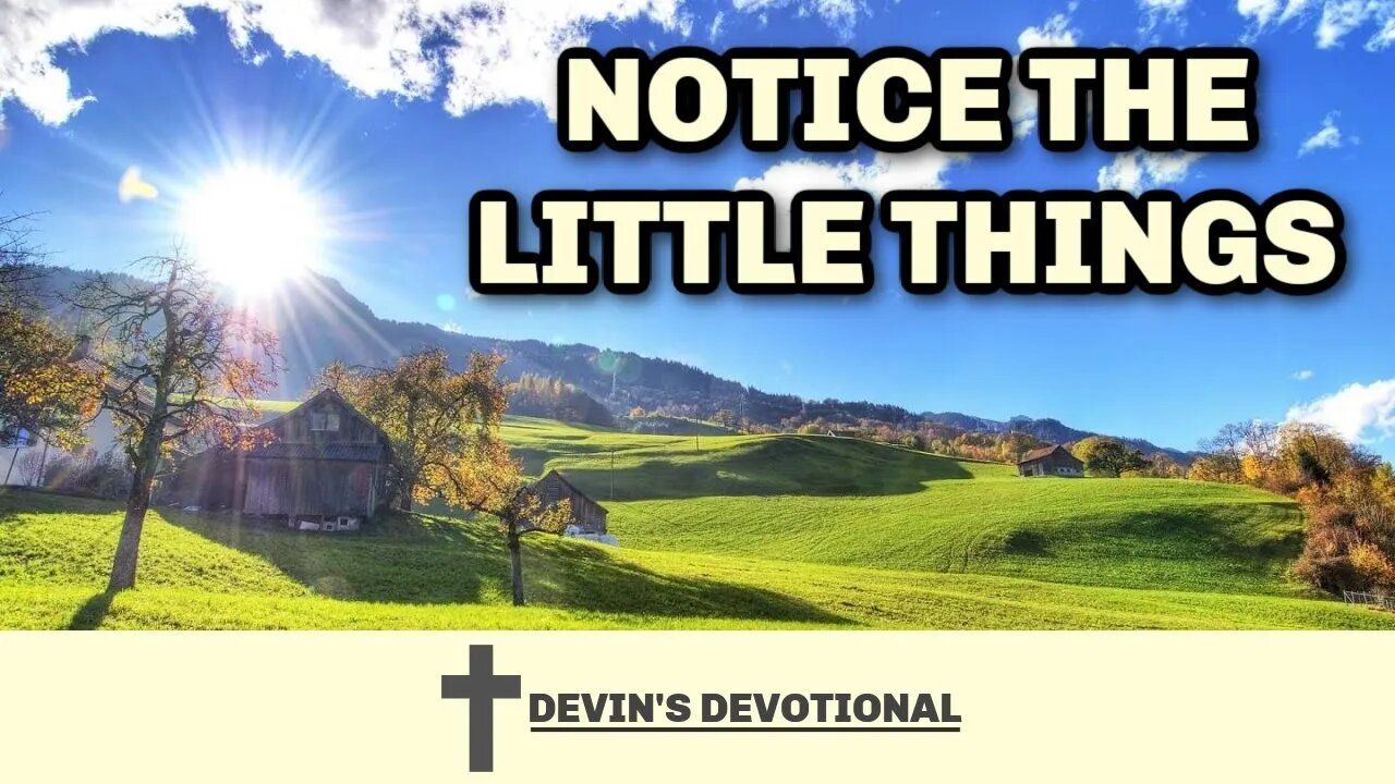 How to Notice the Little Things - Daily Devotional