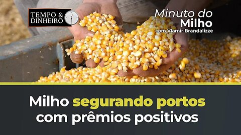 Milho segurando portos com prêmios positivos