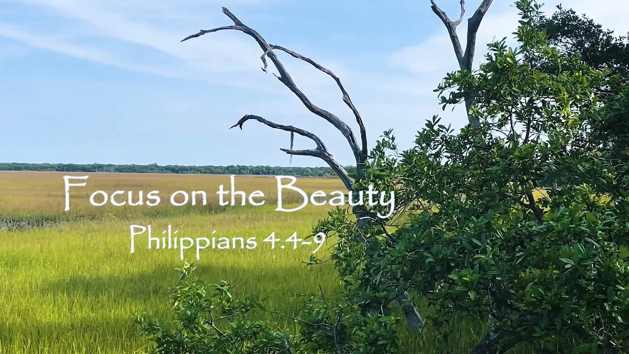 Focus on the Beauty - Philippians 4 4 9