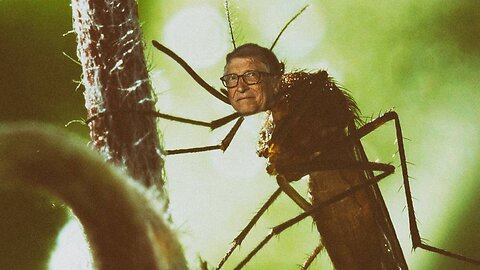 INFOWARS Bowne Report: Project Malaria Courtesy Of Bill Gates - 7/4/23