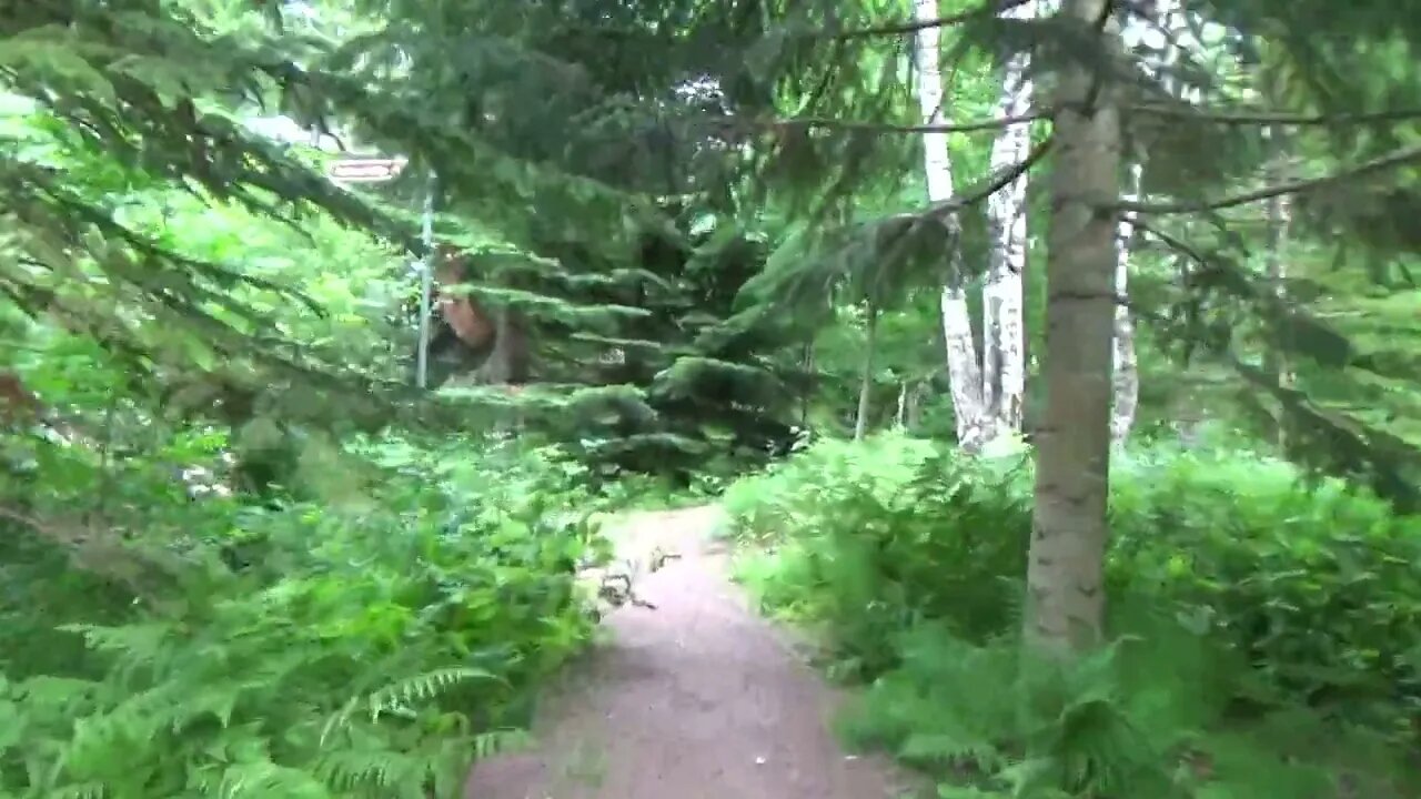 Kaitsunpolku 12.7.2022