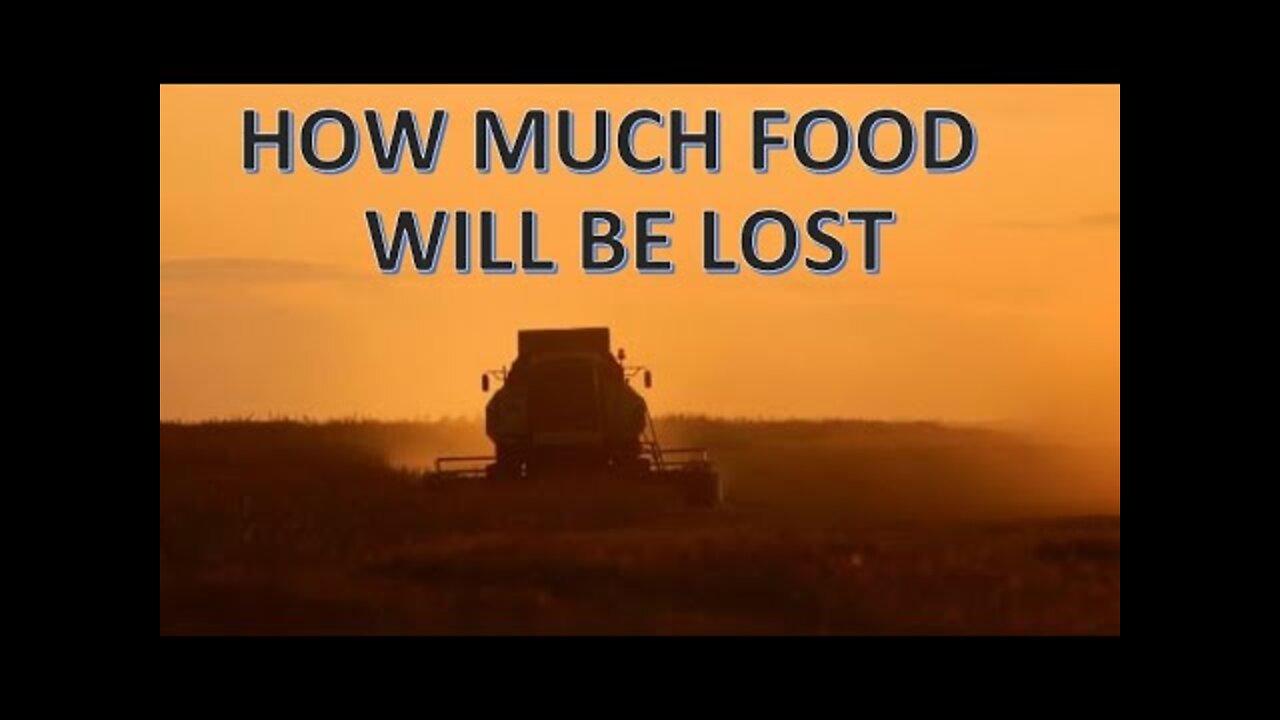 How Much Food Will be Lost Globally Because of Ukraine / Russia Conflict