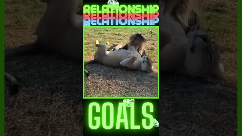 A SIMPLE GOAL😅😌