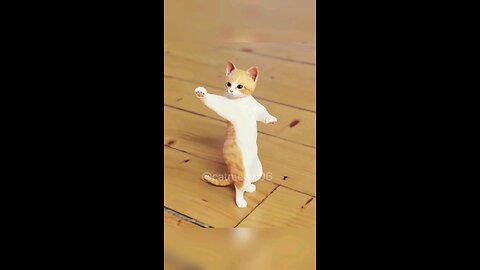 DANCING CAT