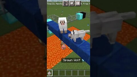 what is the IQ of sheep and wolf (dog) || #shorts #minecraftpe