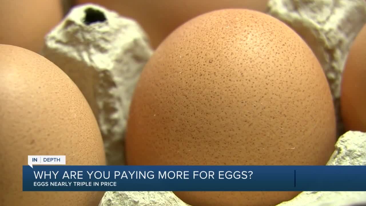 Why Are You Paying More for Eggs?