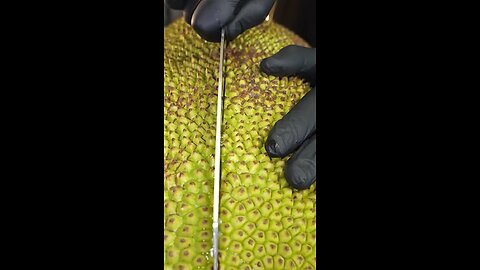 Jack Fruit