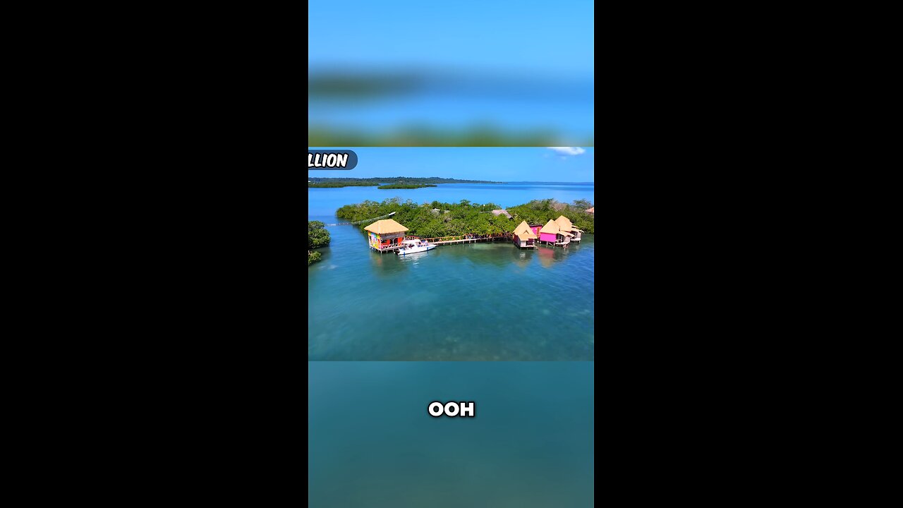 Monkey Island: The Ultimate Primate Adventure
