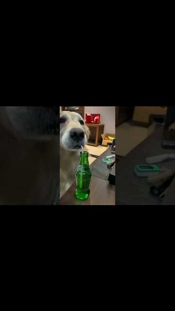 Sprite 😂 Time #shorts