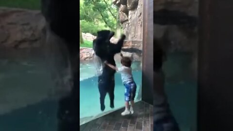 Sure, I'll jump with you kid