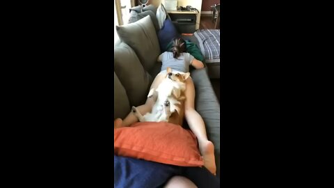 Swaying comfort