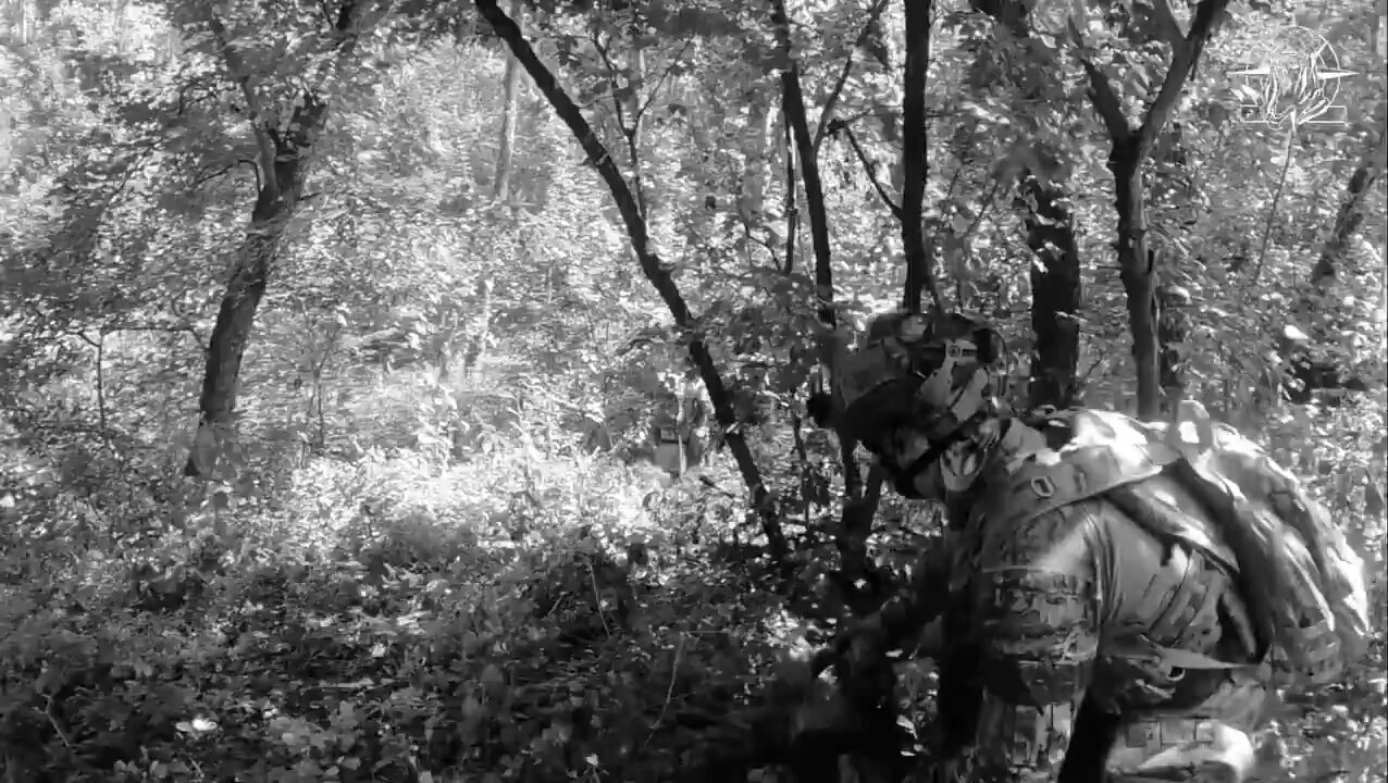 The Battle for the Vovchansk Aggregate Plant. Russian Volunteer Corps, September, 2024.